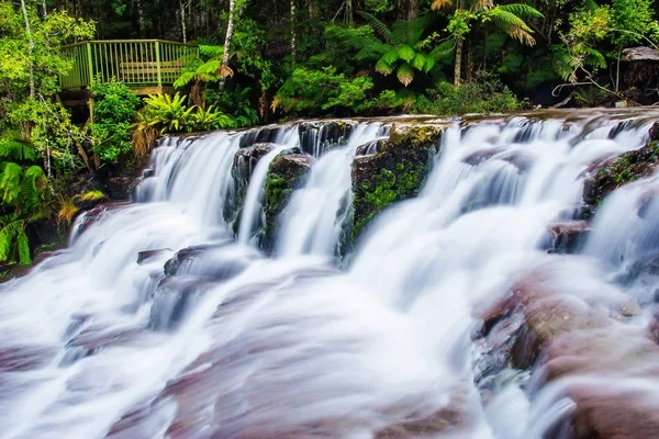 Las Cataratas Liffey Una Serie Cuatro Cascadas Diferenciadas Por Niveles —  Fotos de Stock