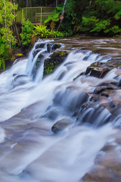 Liffey Falls, Liffey Nehri üzerinde dört ayrı katmanlı çağlayan şelalenin bir dizi Tazmanya, Avustralya Midlands bölgesinde bulunan.