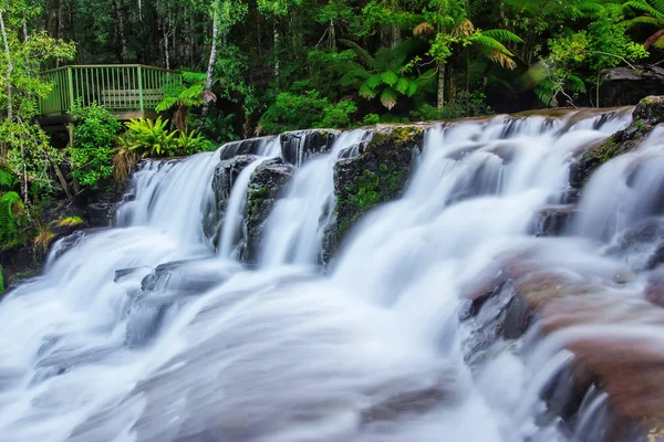 Liffey Falls, Liffey Nehri üzerinde dört ayrı katmanlı çağlayan şelalenin bir dizi Tazmanya, Avustralya Midlands bölgesinde bulunan.