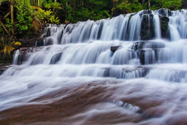 Liffey Falls, Liffey Nehri üzerinde dört ayrı katmanlı çağlayan şelalenin bir dizi Tazmanya, Avustralya Midlands bölgesinde bulunan.