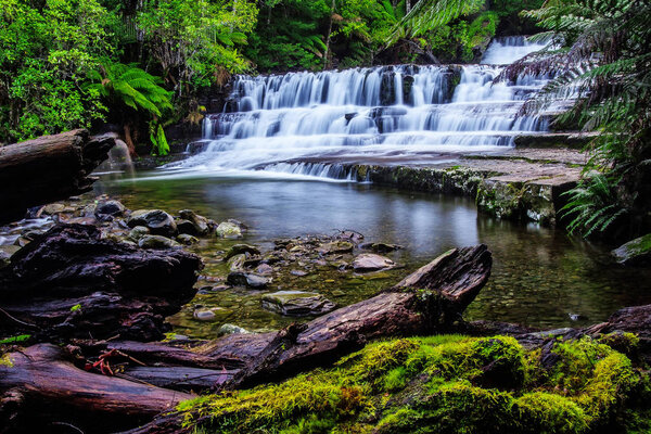 Liffey Falls State Reserve at the Midlands region of Tasmania, Australia.