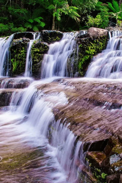 Liffey düşüyor devlet rezerv, Midlands bölge Tasmania, Avustralya.