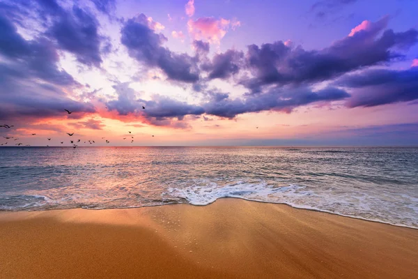 Sabah erkenden, deniz üzerinde gündoğumu. Bir Golden sands.