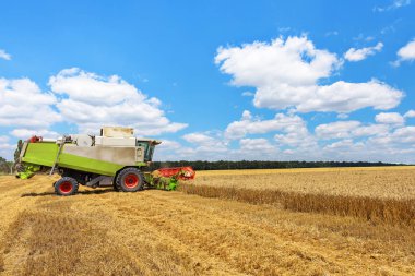 Buğday tarlasında hasat makinesini mavi gökyüzüyle birleştir..