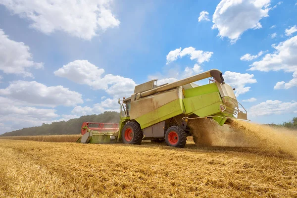 A combine harvester at work on a field in Bulgaria. Royalty Free Stock Images