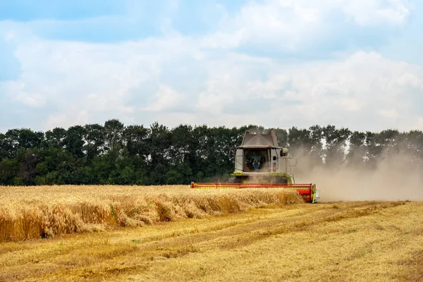 Combine harvester in action on wheat field. — Stock Photo, Image