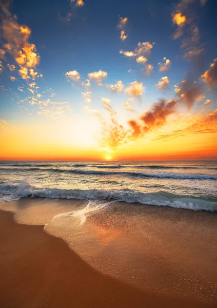 Prachtige tropische zonsopgang op het strand. — Stockfoto