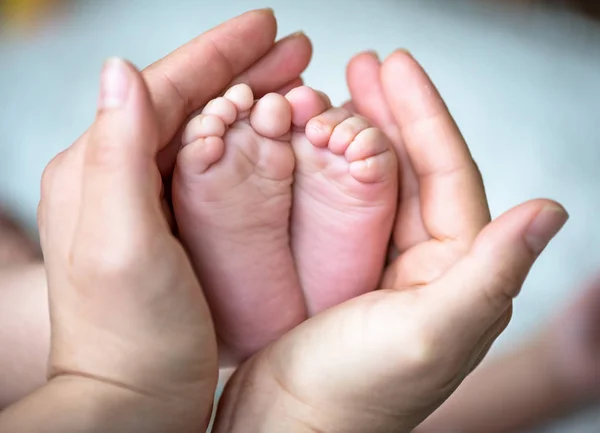 Infant heels in mother's hands. — Stock Photo, Image