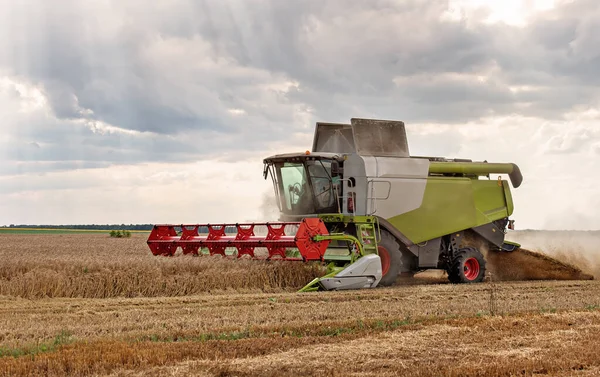 Зернозбиральний Комбайн Дії Пшеничному Полі — стокове фото