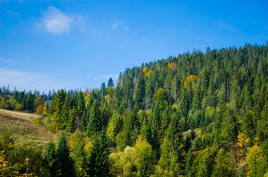 Karpat Dağları manzarası