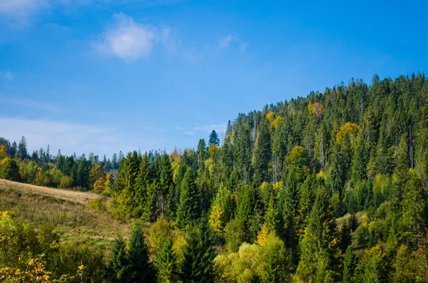 Cárpatos montañas paisaje — Foto de Stock