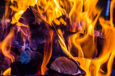 vahşi doğada ateş