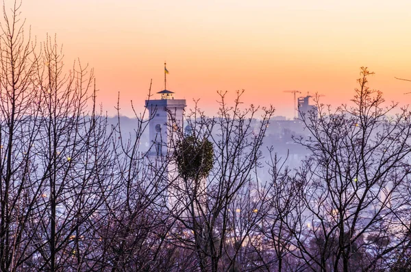 Panoráma města Lvov v zimní sezóně — Stock fotografie