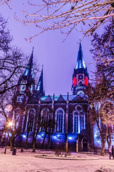 Catedral de estilo neogótico — Foto de Stock