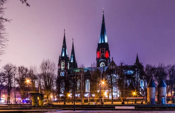 Novogotické stylu katedrála — Stock fotografie