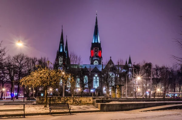 Catedral de estilo neogótico — Foto de Stock