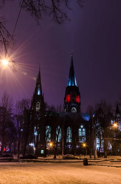 Cattedrale in stile neogotico — Foto Stock