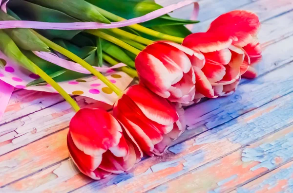 A tulipa no fundo de madeira — Fotografia de Stock