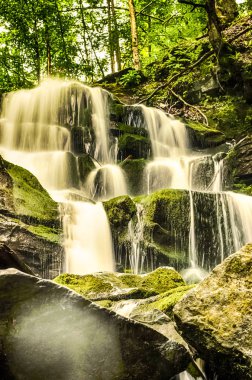 Şelale Shypit Ukrayna Karpat Dağları uzun pozlama üzerinde