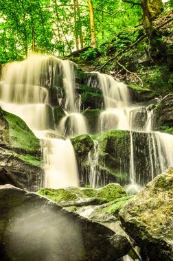 Şelale Shypit Ukrayna Karpat Dağları uzun pozlama üzerinde