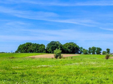Vahşi doğa ladsncape arka plan