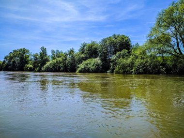 Vahşi doğa ladsncape arka plan