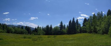 Arka plan Karpat Mountain