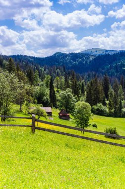 Arka plan Karpat Mountain