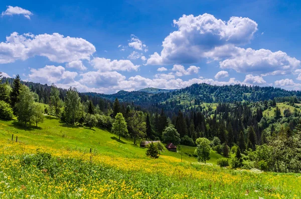 Achtergrond van de berg van de Karpaten — Stockfoto