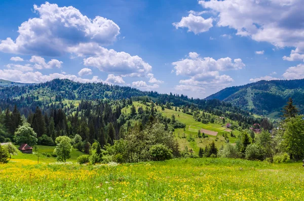 Hintergrund der Karpaten — Stockfoto