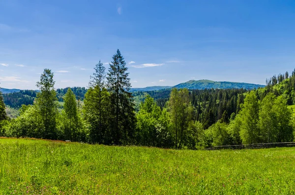 Achtergrond van de berg van de Karpaten — Stockfoto