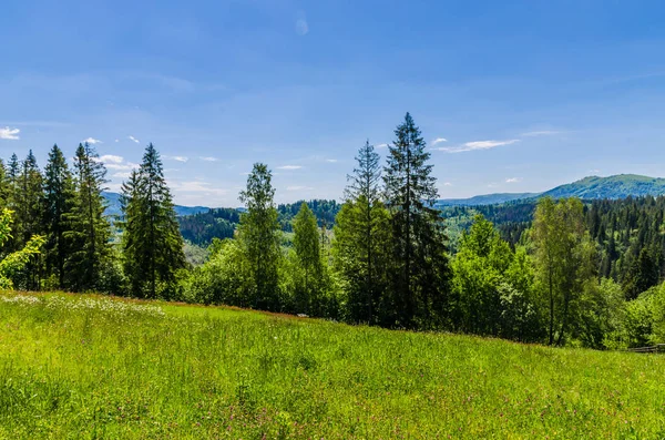 Arka plan Karpat Mountain