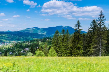 Arka plan Karpat Mountain