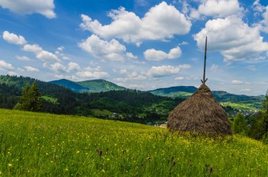 Arka plan Karpat Mountain