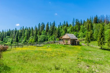 Arka plan Karpat Mountain