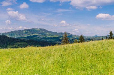 Arka plan Karpat Mountain