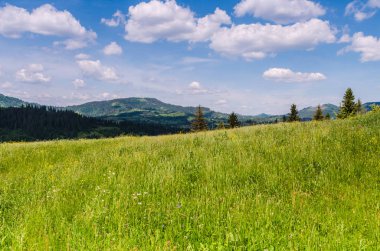 Arka plan Karpat Mountain