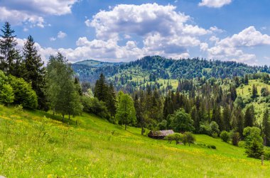 Arka plan Karpat Mountain