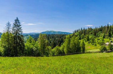 Arka plan Karpat Mountain