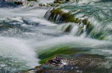 Arka plan Karpat Mountain