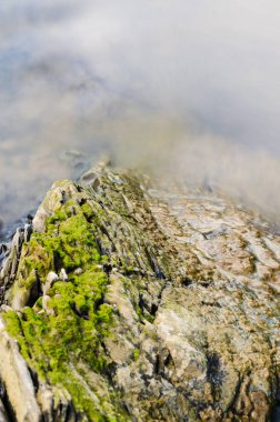 Arka plan Karpat Mountain