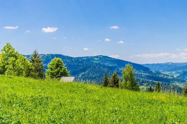 Achtergrond van de berg van de Karpaten — Stockfoto