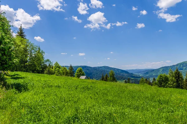 Achtergrond van de berg van de Karpaten — Stockfoto