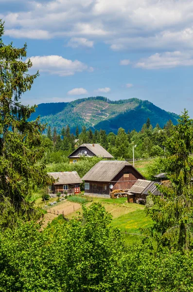 Hintergrund der Karpaten — Stockfoto