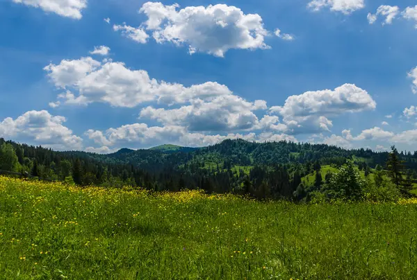 Background of Carpathian mountain — Stock Photo, Image