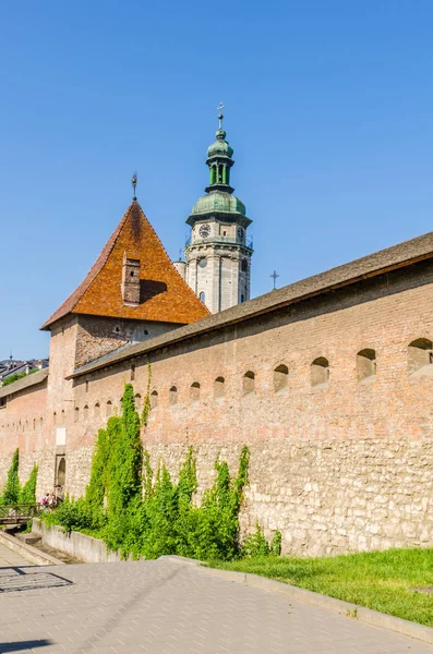 Cityscape arka planını eski Ukrayna'da Lviv şehirde yaz sezonu parçası