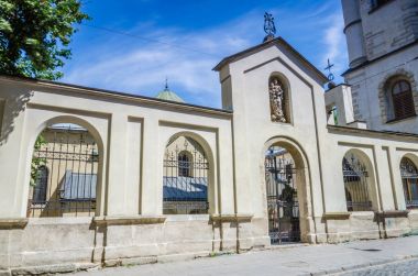 Cityscape arka planını eski Ukrayna'da Lviv şehirde yaz sezonu parçası