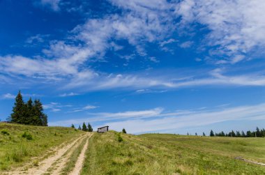 Karpat Dağları Yaremche görünümünde manzara