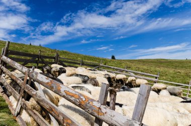 Karpat Dağları Yaremche görünümünde manzara