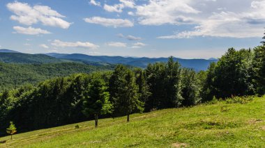 Karpat Dağları Yaremche görünümünde manzara